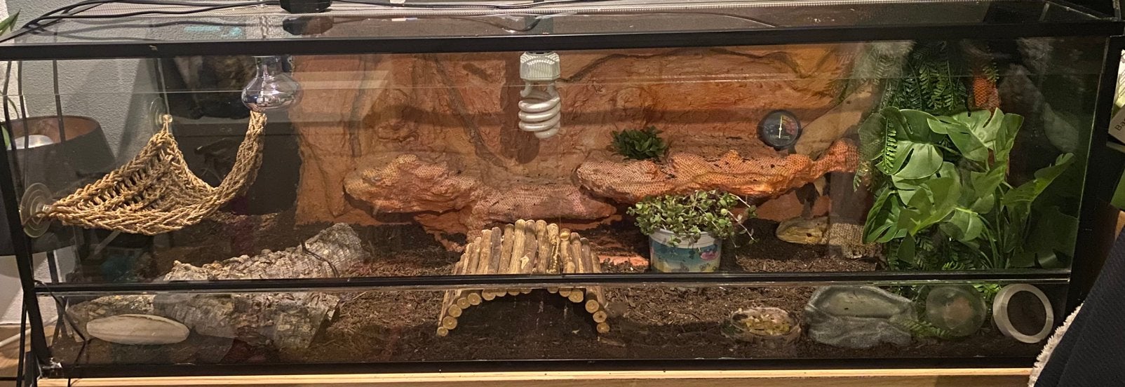 Terrarium 120x40x40, Ophalen, Zo goed als nieuw