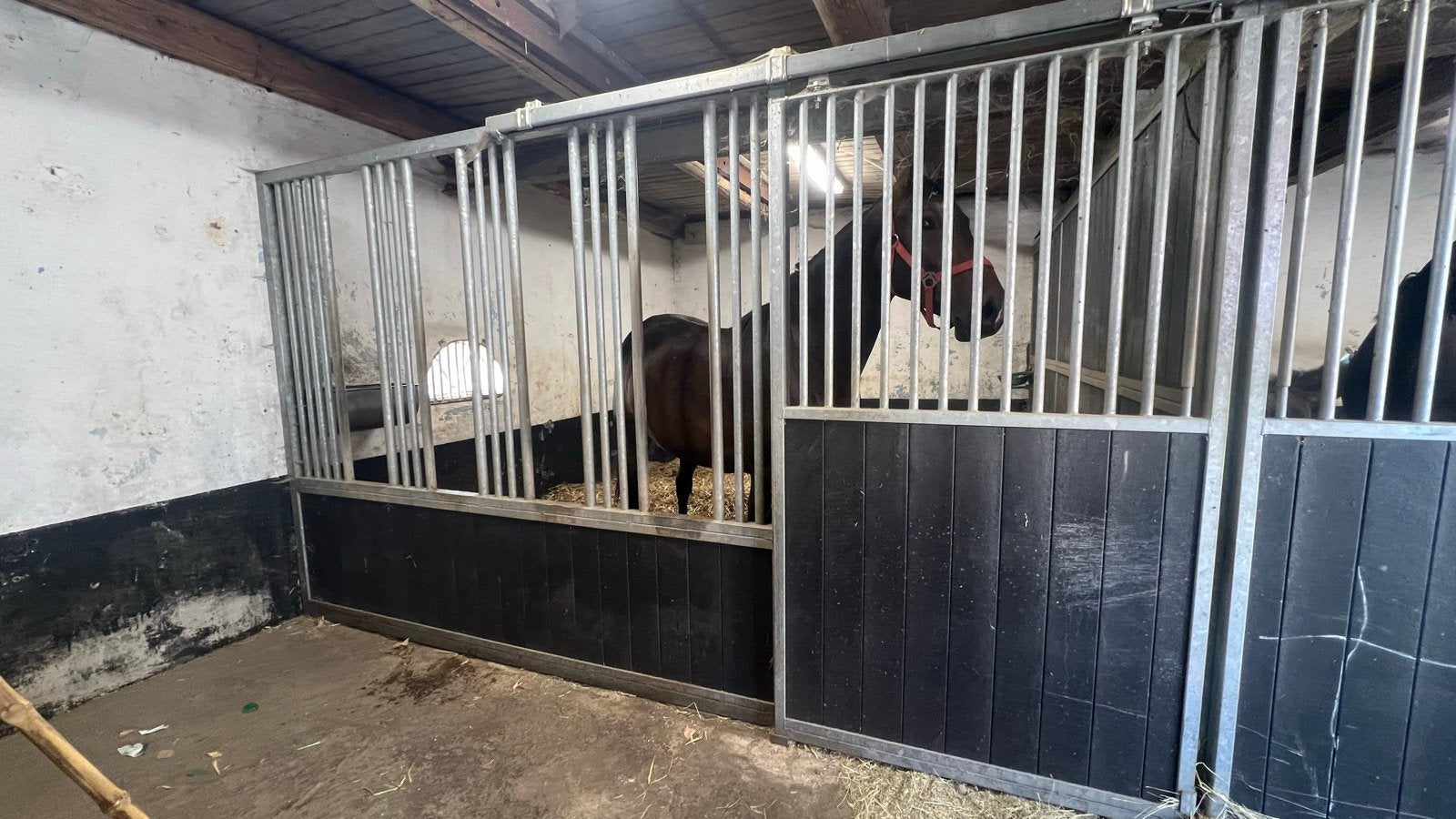 2 zeer mooie stallen van 4.40 x 4.66 mtr., Dieren en Toebehoren, Stalling en Weidegang