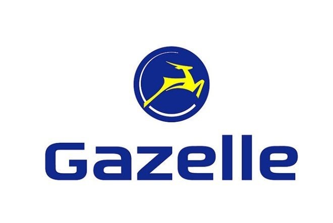 gazelle heren fiets met rem, lichten, tas, bel, tas en slot., Ophalen of Verzenden, Gebruikt, Gazelle, Versnellingen