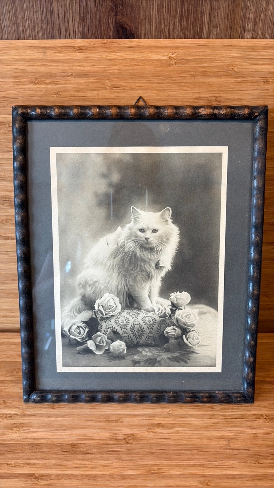 Foto poes in oude lijst, Ophalen of Verzenden