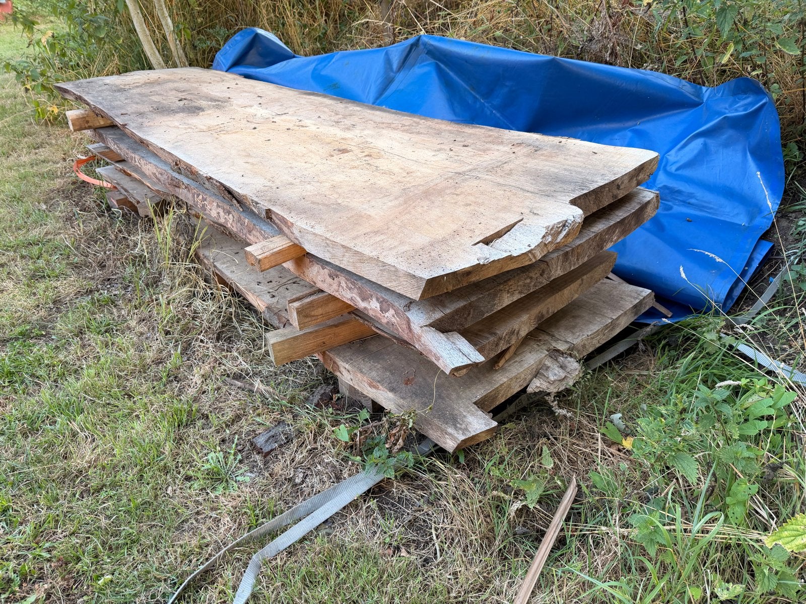 Beuken schaaldelen met “slaap” 240 cm lang, 40-85 cm breed, Ophalen, Gebruikt, 200 tot 250 cm, Plank