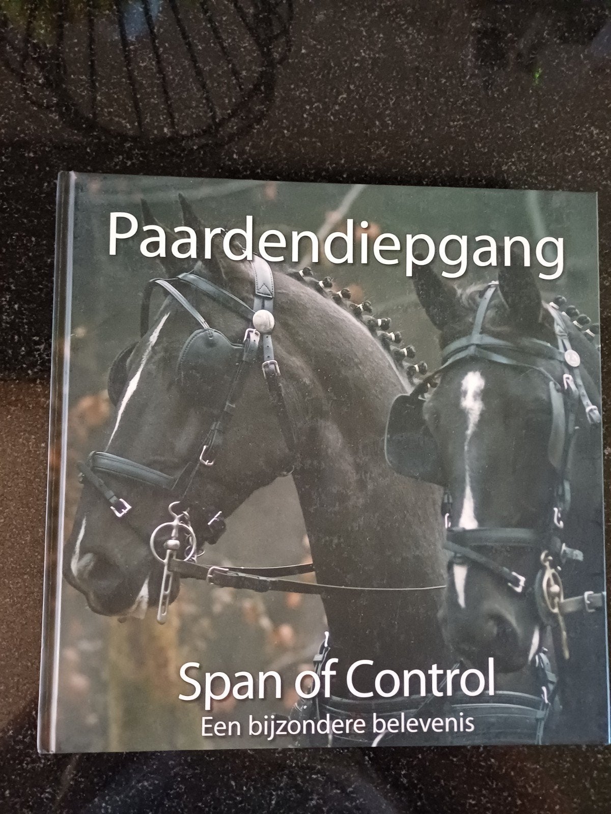 Paardendiepgang: Span of Control - Een bijzondere belevenis, Ophalen of Verzenden, Zo goed als nieuw, Paarden of Pony's