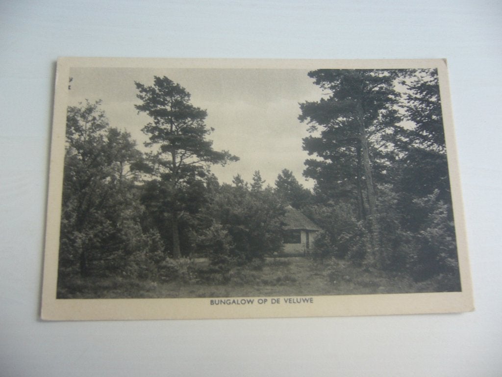 VELUWE  =  BUNGALOW OP DE VELUWE, Ophalen of Verzenden, 1940 tot 1960, Gelopen, Gelderland