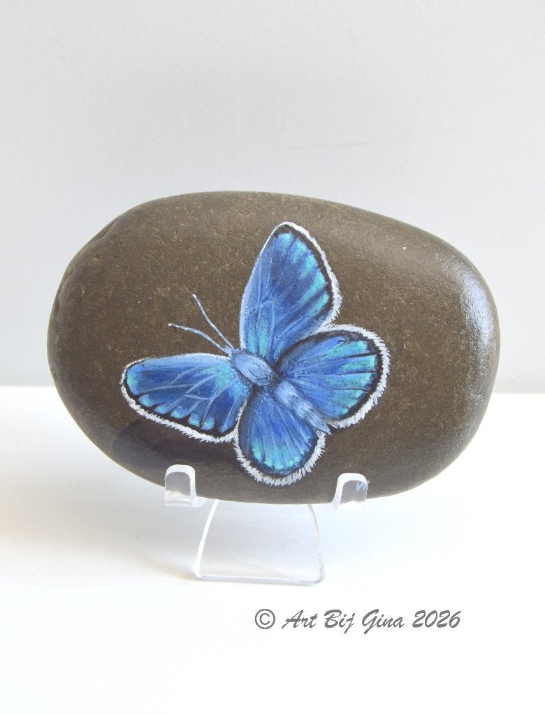 Mooi blauw vlindertje hand geschilderd op riviersteen, Ophalen of Verzenden