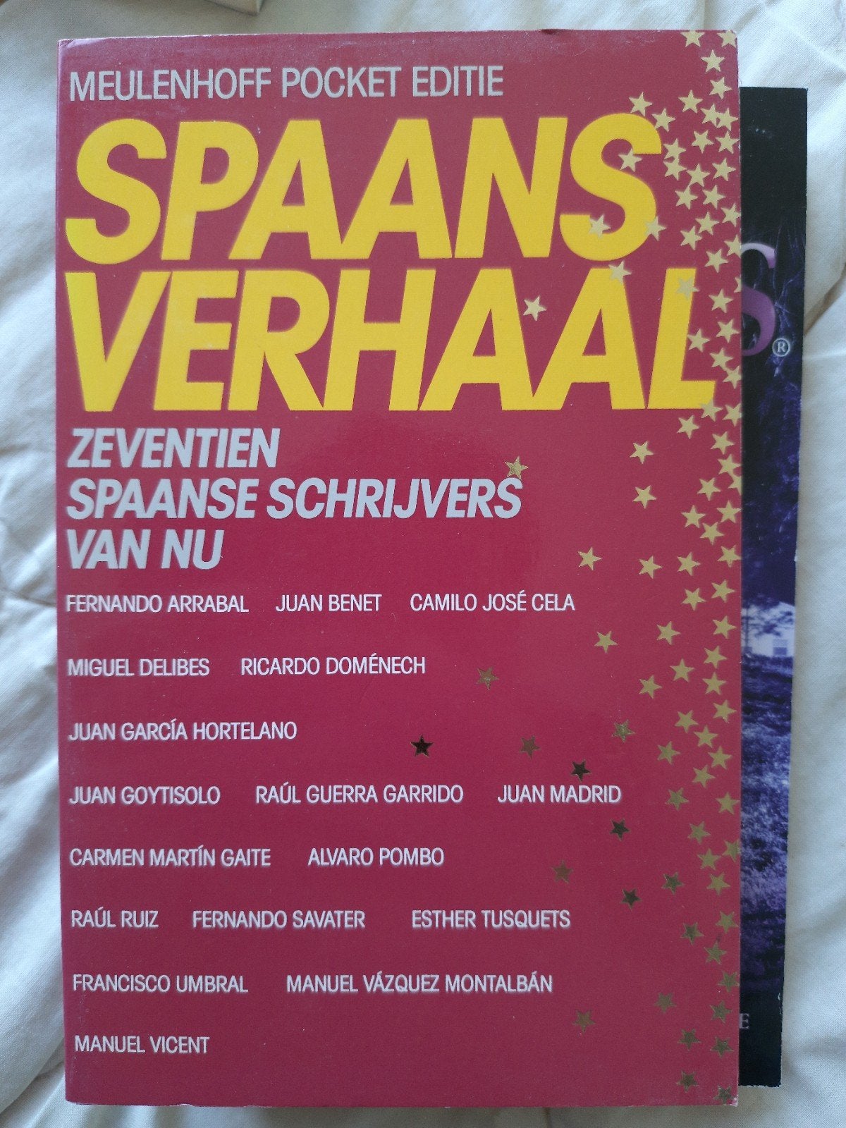 Spaans verhaal: 17 Spaanse schrijvers van NU, Ophalen of Verzenden, Gelezen