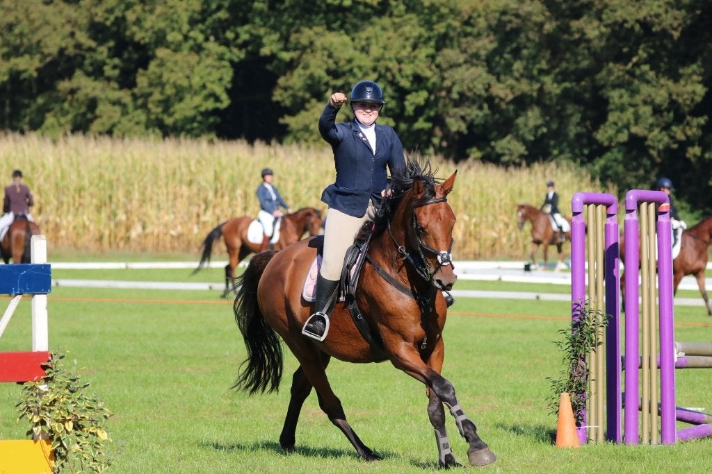 Fokmerrie Eldorado van de Zeshoek 7jr, Merrie, Springpaard, 175 cm of meer, 7 tot 10 jaar