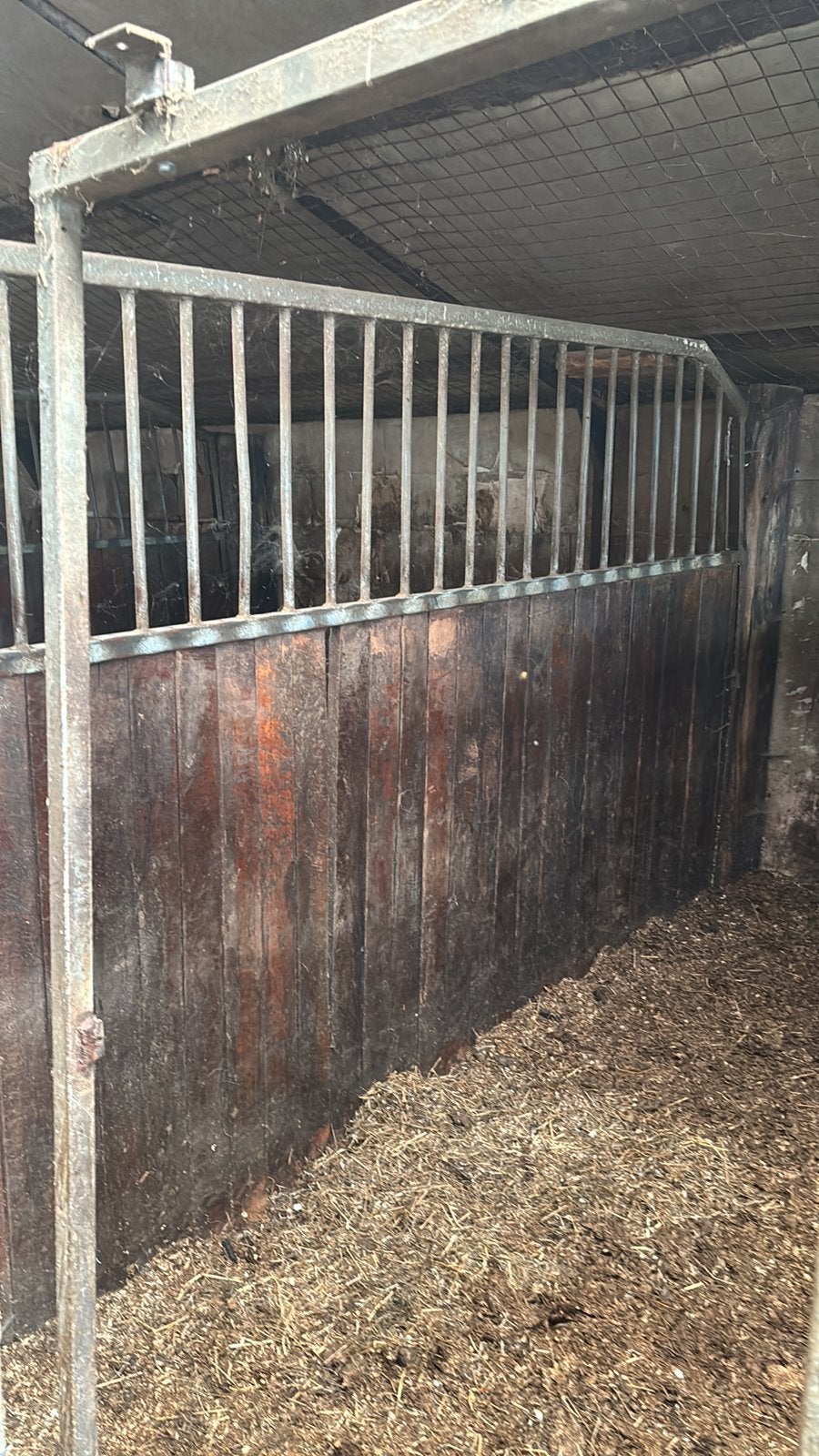 Paardeboxen te koop, Dieren en Toebehoren, Stalling