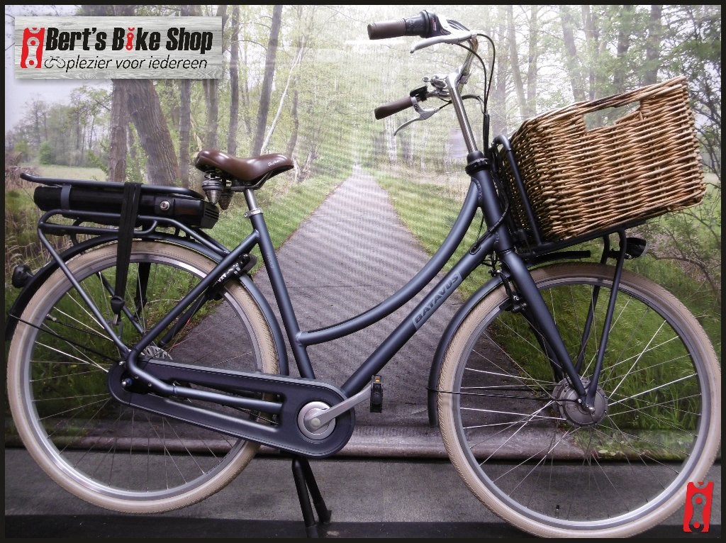 gebruikte Batavus Packd, dames 55cm , ebike, Ophalen, Minder dan 30 km per accu, Gebruikt, Batavus
