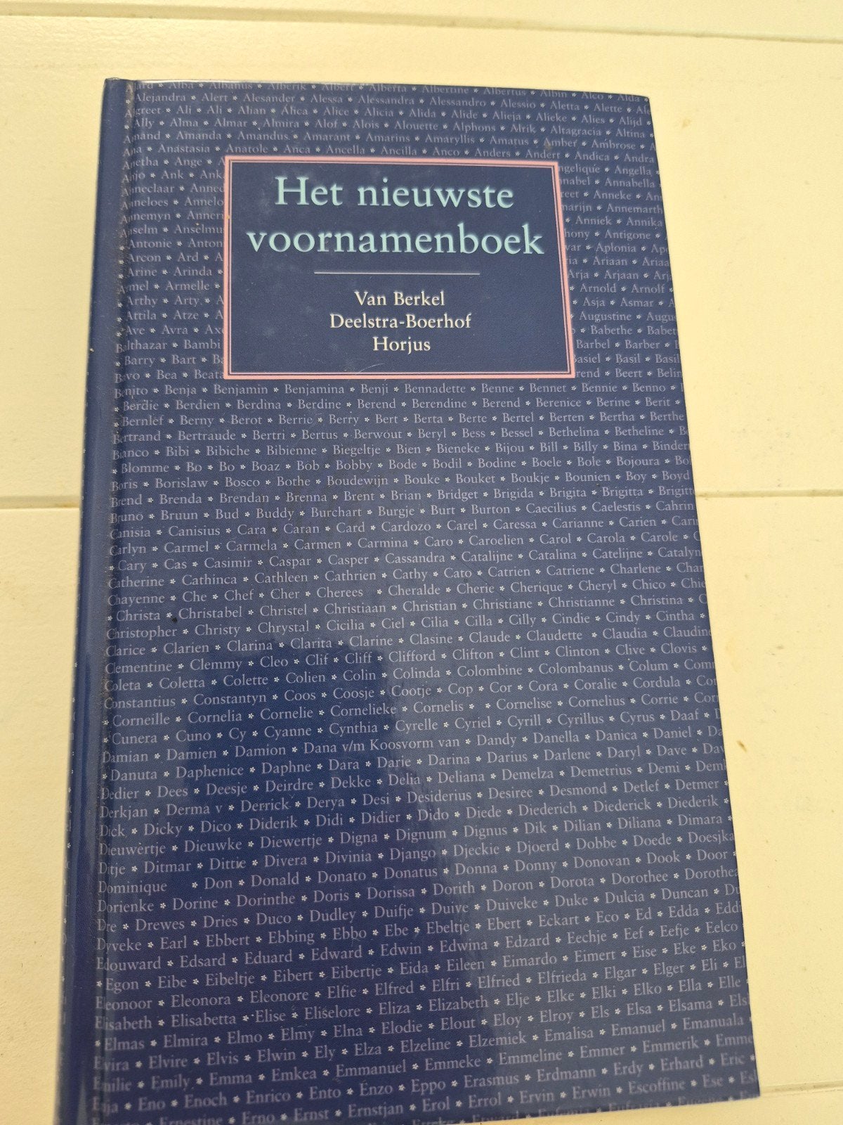 Het Nieuwste Voornamenboek - Van Berkel, Deelstra-Boerhof, Ophalen of Verzenden, Gelezen, Van Berkel, Deelstra-Boerhof, Nederland