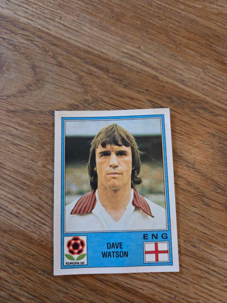 Panini EK 80, Ophalen of Verzenden, Zo goed als nieuw, Sticker