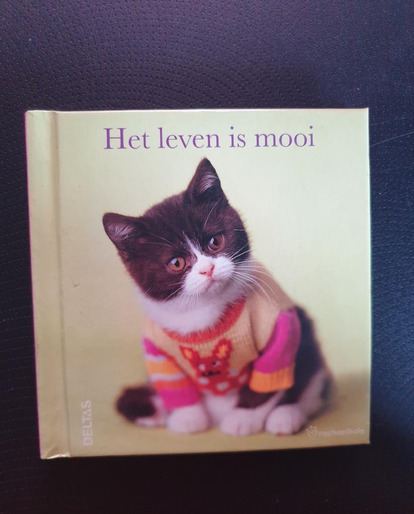 (M) Rachael Hale - Het leven is mooi. Kattenspreuken. 2010., Ophalen of Verzenden, Zo goed als nieuw