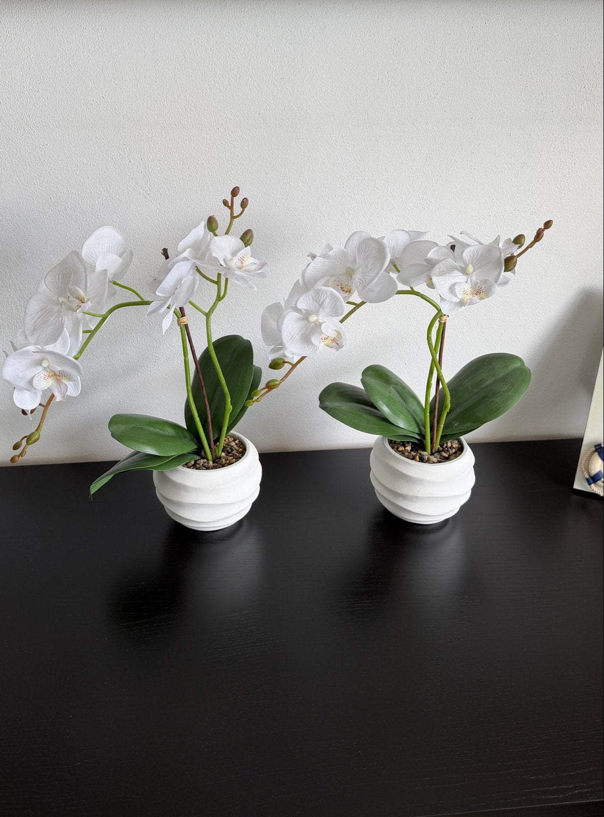 Set van 2 kunstorchideeën in witte potten, Ophalen, Binnen, Kunstplant, Kunststof