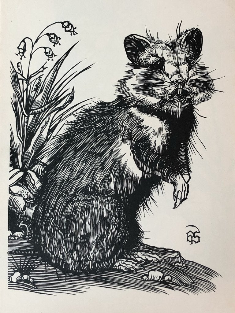 Mooie, betaalbare kunst v/h Grafiekkabinet Hermann Schrader, Verzenden