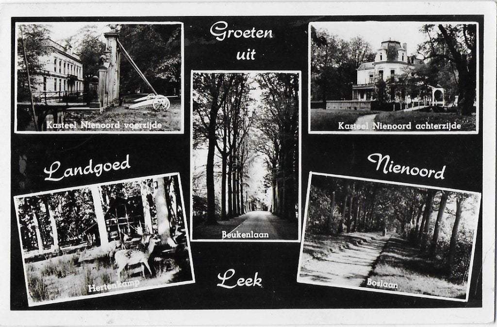 Leek Landgoed Nienoord Oude gelopen Ansichtkaart ( A2550 ), Ophalen of Verzenden, 1940 tot 1960, Gelopen