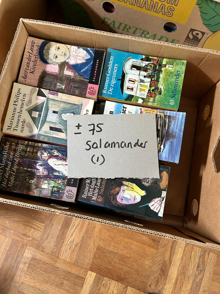 Meer dan 75 boeken Salamander reeks (logo 1 salamander), Boeken, Literatuur, Gelezen, Ophalen