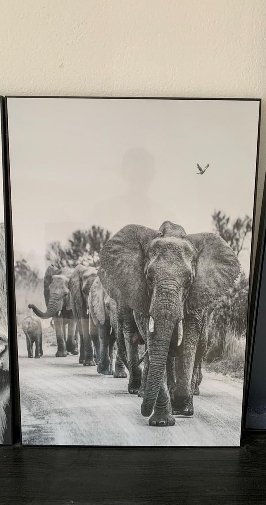 2 x foto in lijst - 90x60, Ophalen