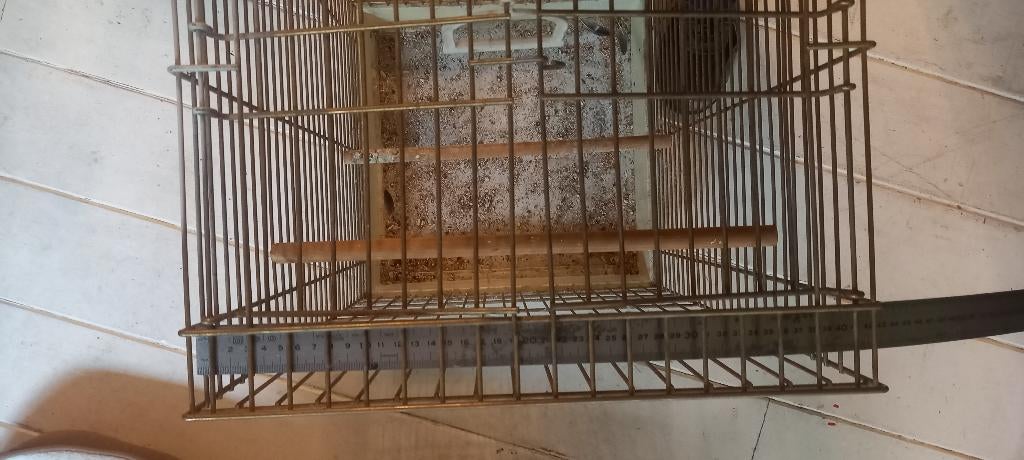 grote vogel kooi, Dieren en Toebehoren, Ophalen, Gebruikt, Metaal, Vogelkooi