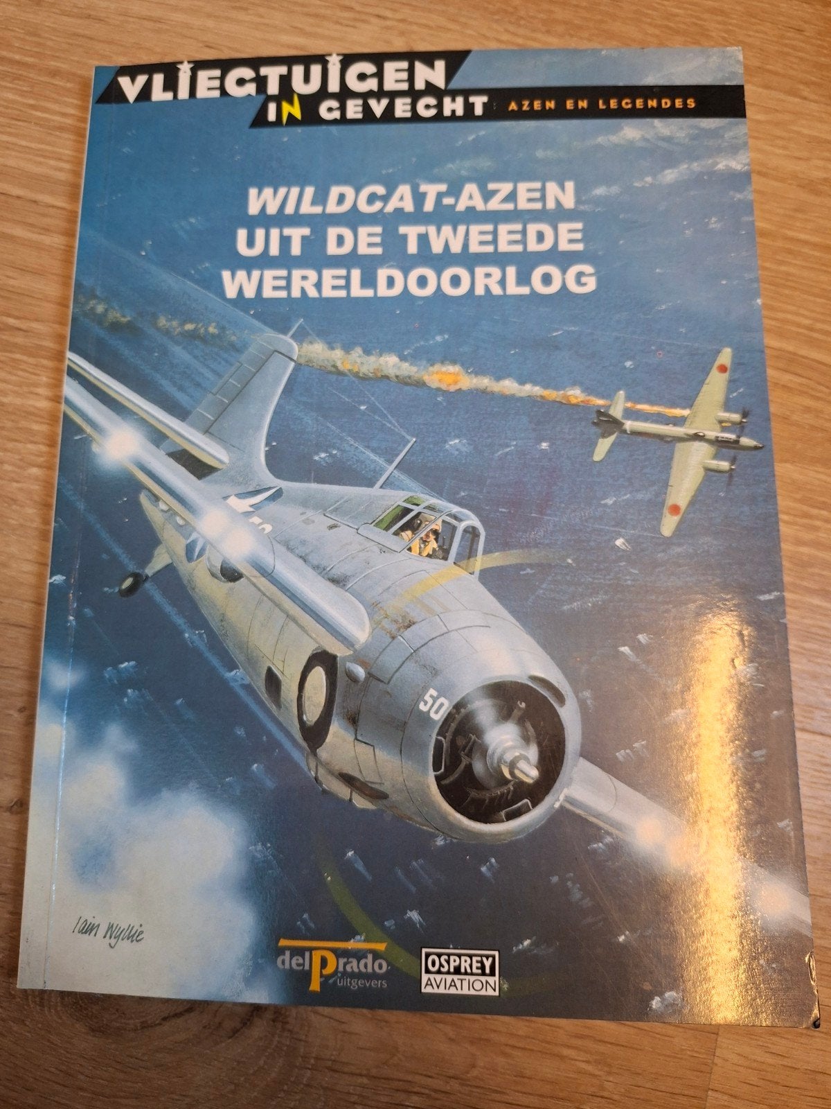 Vliegtuigen in Gevecht: Wildcat-azen WOII, Ophalen of Verzenden, Tweede Wereldoorlog, Zo goed als nieuw, Luchtmacht