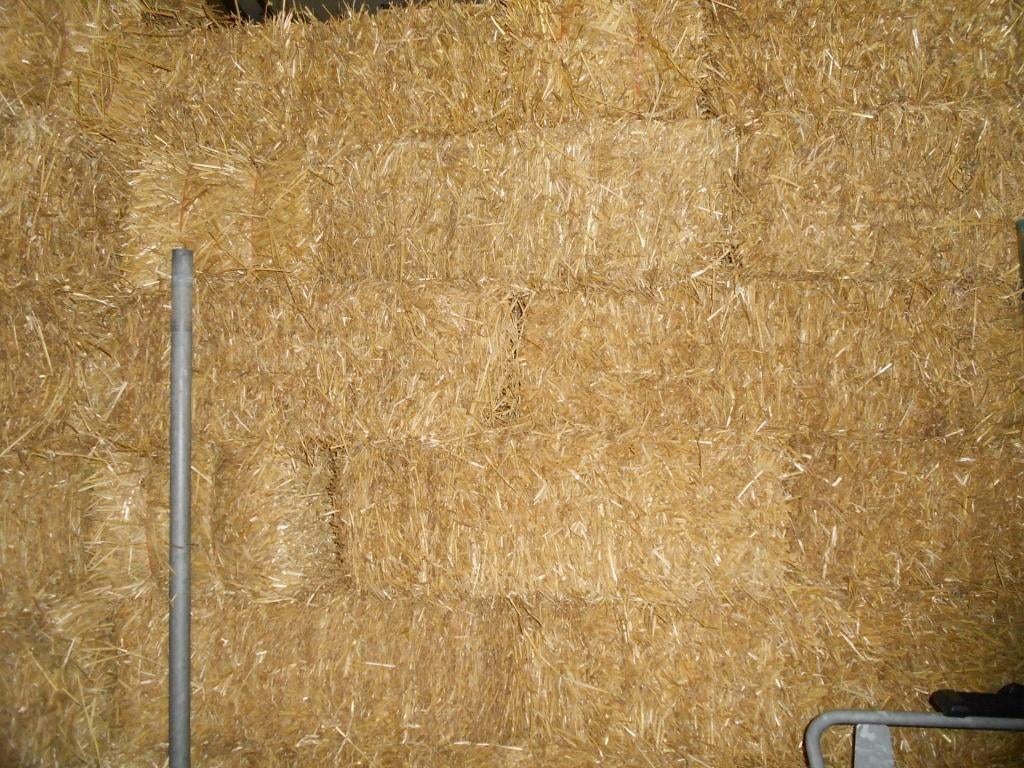 kleine baaltjes stro / stro balen, Ophalen, Vee