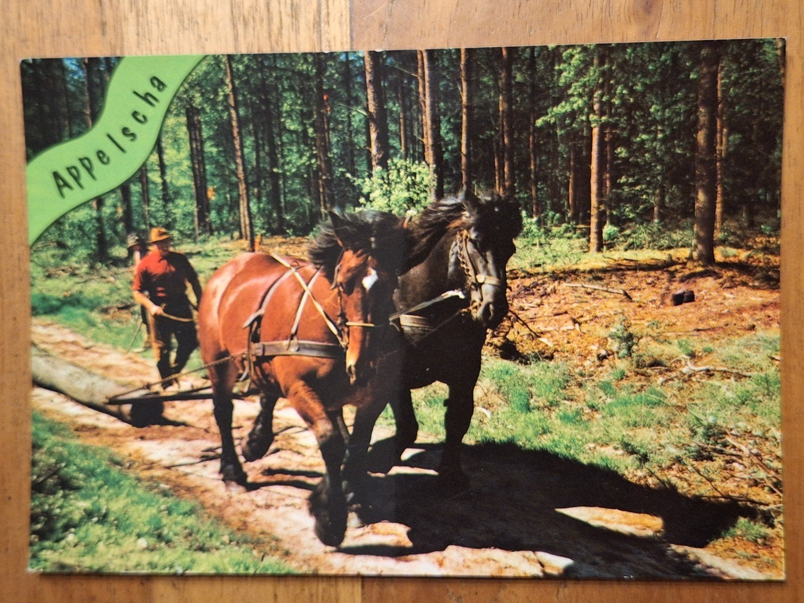 Appelscha, Verzamelen, Ophalen of Verzenden, Ongelopen, Friesland