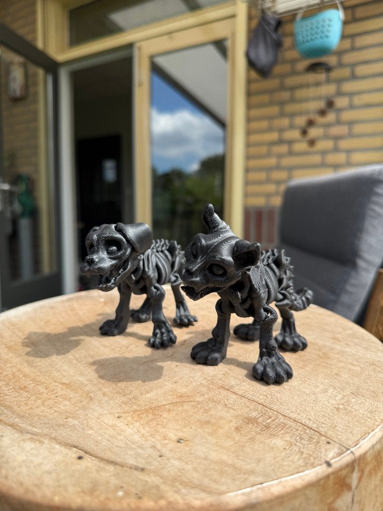 Skelet Kat & Hond – Zwart – Flexibele Decoratie, Verzenden, Zo goed als nieuw