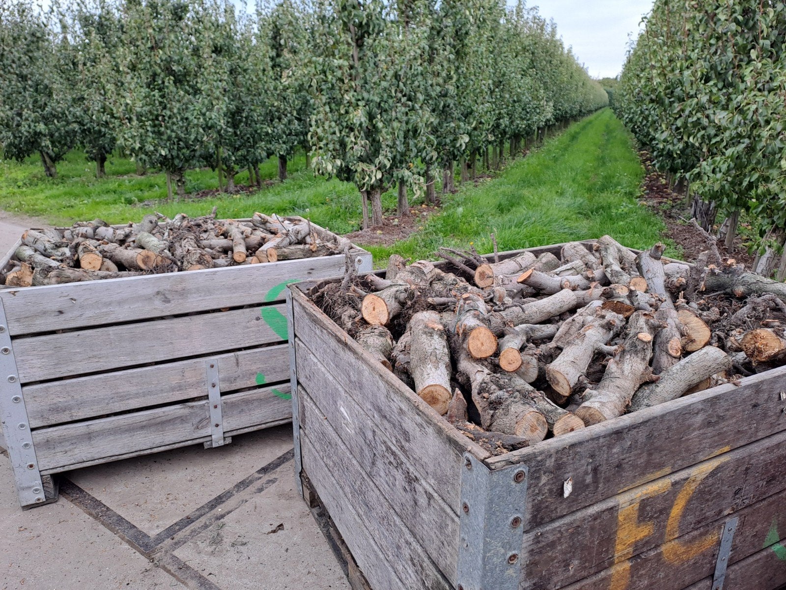 droog fruithout 🍎🍎appelhout te koop!, Ophalen