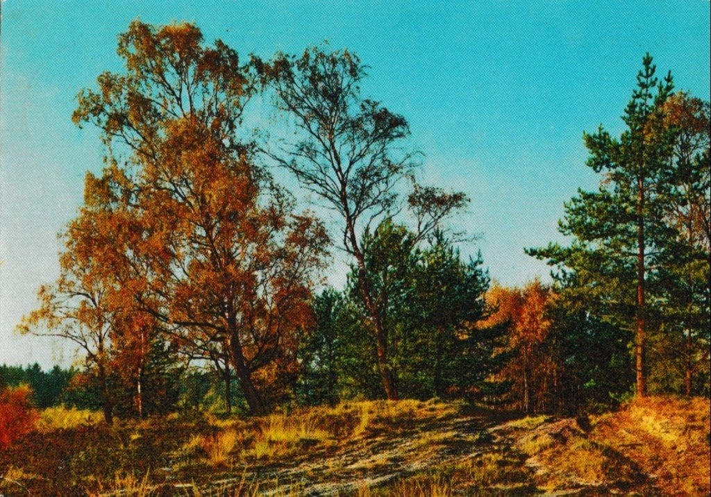 Ermelo  323, Ophalen of Verzenden, Voor 1920, Gelderland
