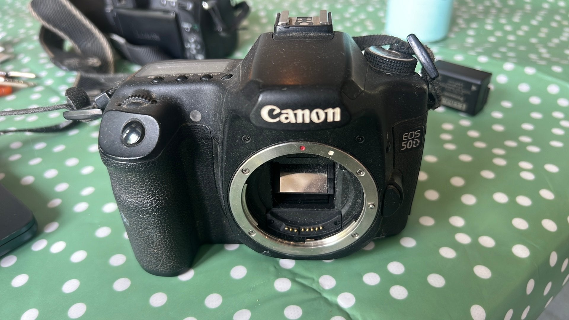 Canon EOS50D, Ophalen, Gebruikt, Canon, Geen optische zoom