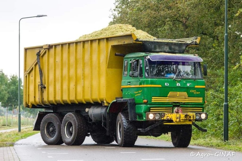 Ginaf, Auto's, Vrachtwagens, Bedrijf, Handgeschakeld, Te koop