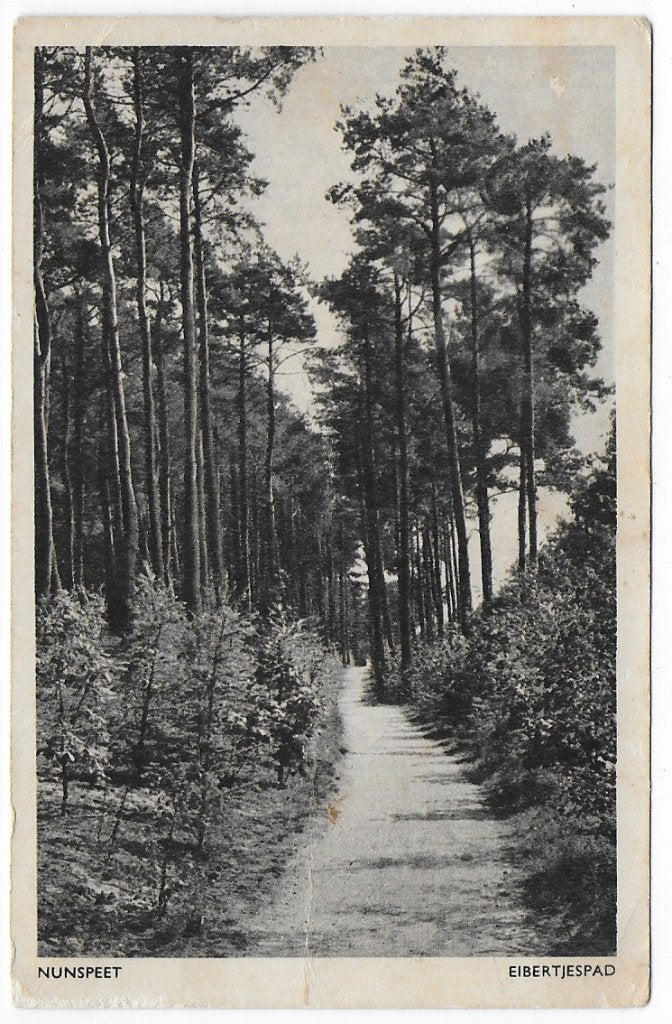 Nunspeet Eibertjespad Oude gelopen Ansichtkaart ( B140), Ophalen of Verzenden, 1940 tot 1960, Gelopen, Gelderland
