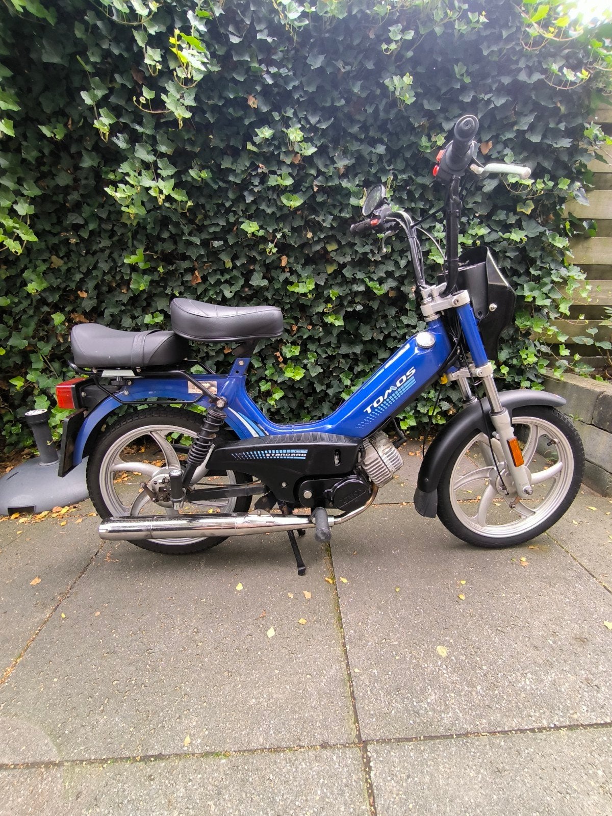 Tomos standard, Ophalen, Maximaal 45 km/u, Zo goed als nieuw, 50 cc
