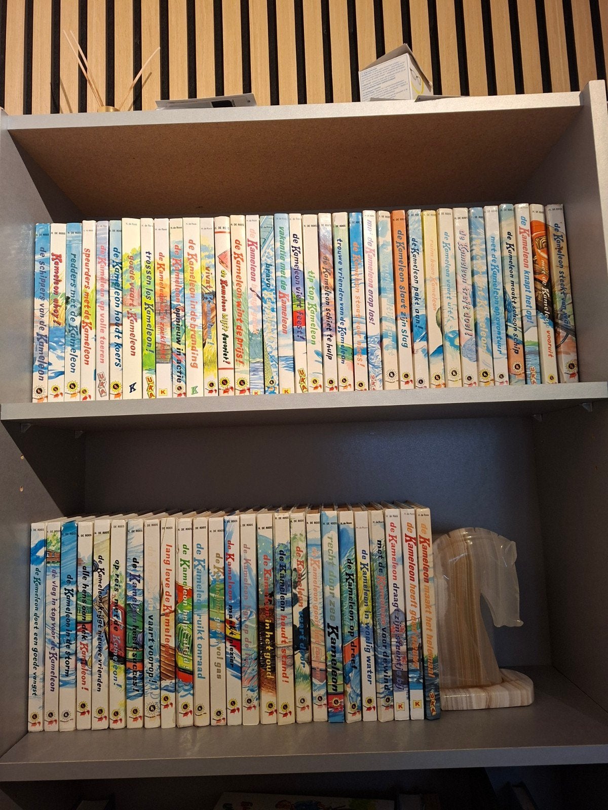 Complete Kameleon serie - 60 boeken van Hotze de Roos, Boeken, Ophalen of Verzenden, Gelezen
