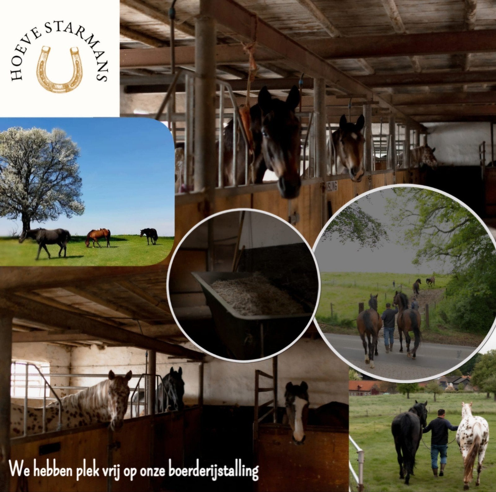 paardenstalling