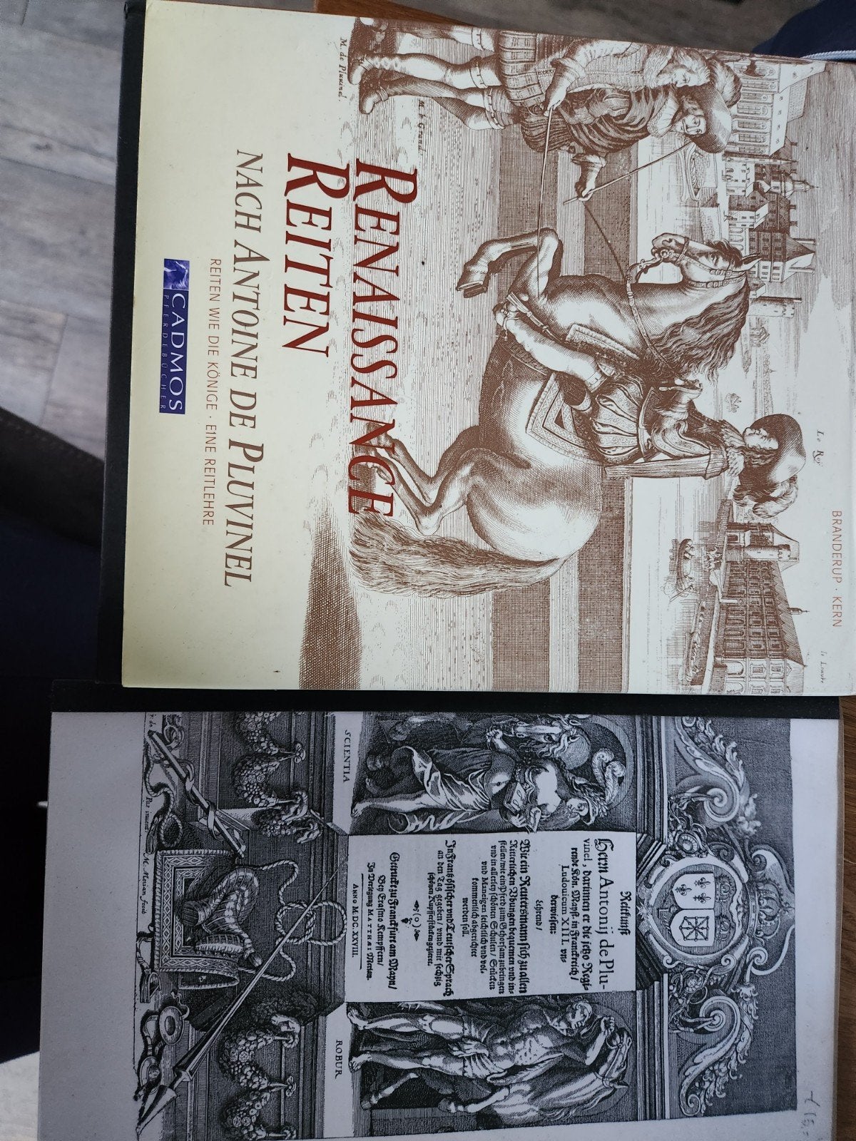 Renaissance reiten+reitfunft, Boeken, Ophalen of Verzenden, Gelezen, Onbekend