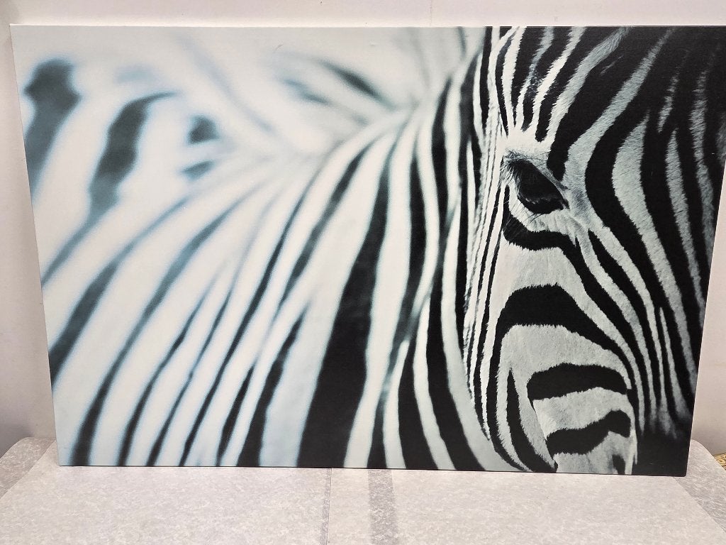 zebra, Ophalen, 125 cm of meer, 75 – 100, Print