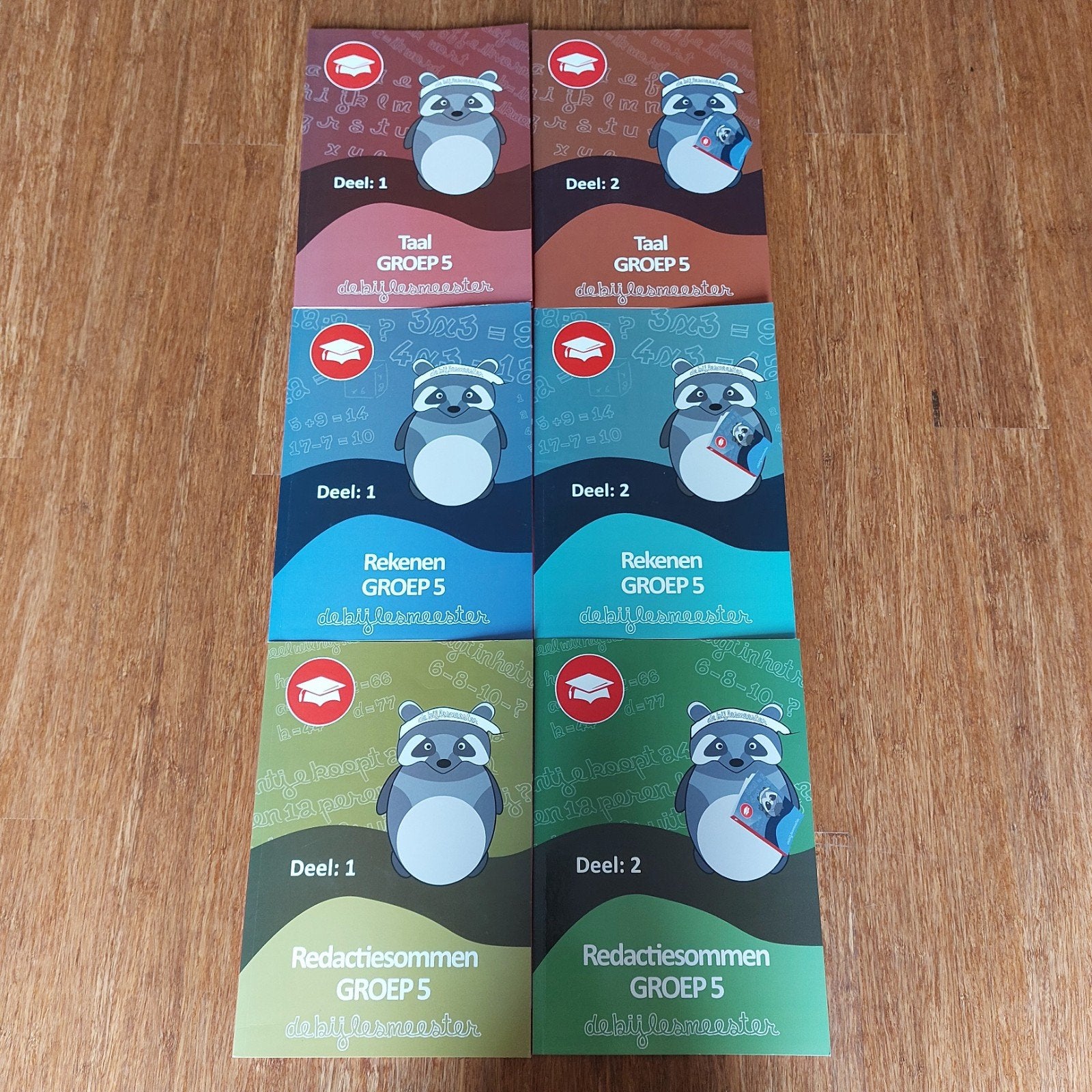 De Bijlesmeester Groep 5: Taal, Rekenen, Redactiesommen, Ophalen of Verzenden, Zo goed als nieuw, Overige niveaus, Nederlands