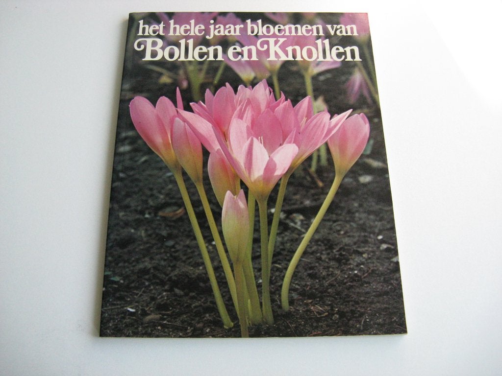 Het hele jaar bloemen van Bollen en knollen, Ophalen of Verzenden, Nieuw