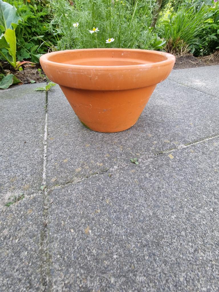 Terracotta bloempot - of plantenpot, Tuin en Terras, Bloempotten, Gebruikt, Minder dan 40 cm, Terracotta, Ophalen