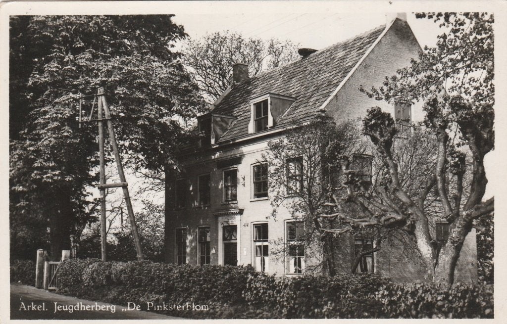 arkel- de pinksterblom, Ophalen of Verzenden