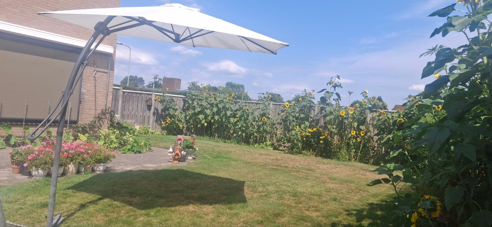 Zweefparasol diameter 3m, 2⁵m hoog, met kruisvoet., Ophalen, Waterdicht, 3 tot 4 meter, Zweefparasol