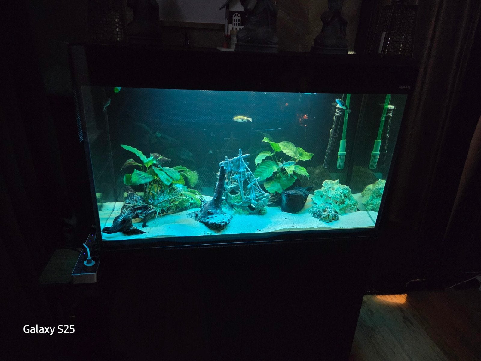 Compleet, Dieren en Toebehoren, Ophalen of Verzenden, Leeg aquarium