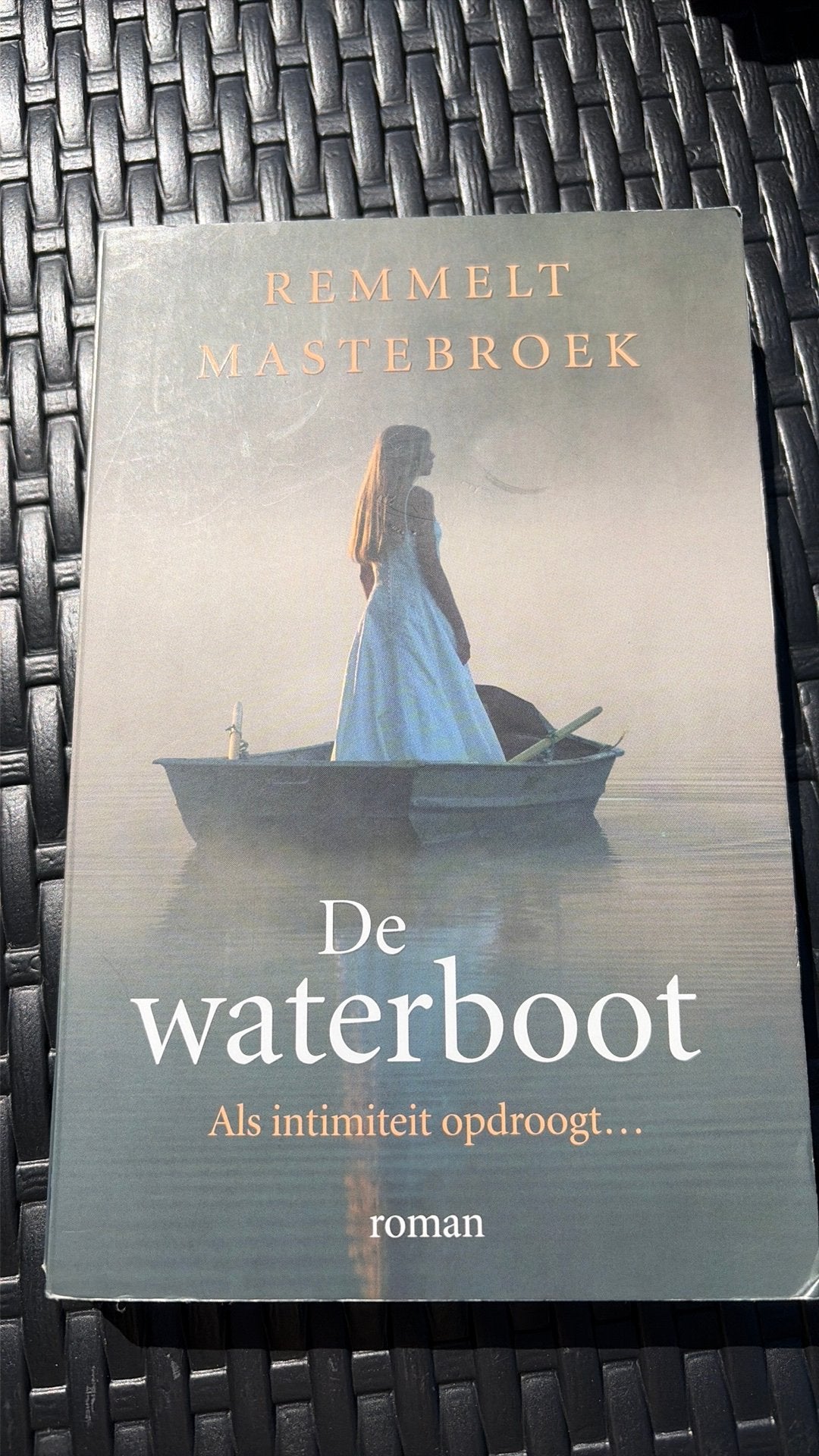 Remmelt Mastebroek - De waterboot, Ophalen of Verzenden, Zo goed als nieuw, Remmelt Mastebroek