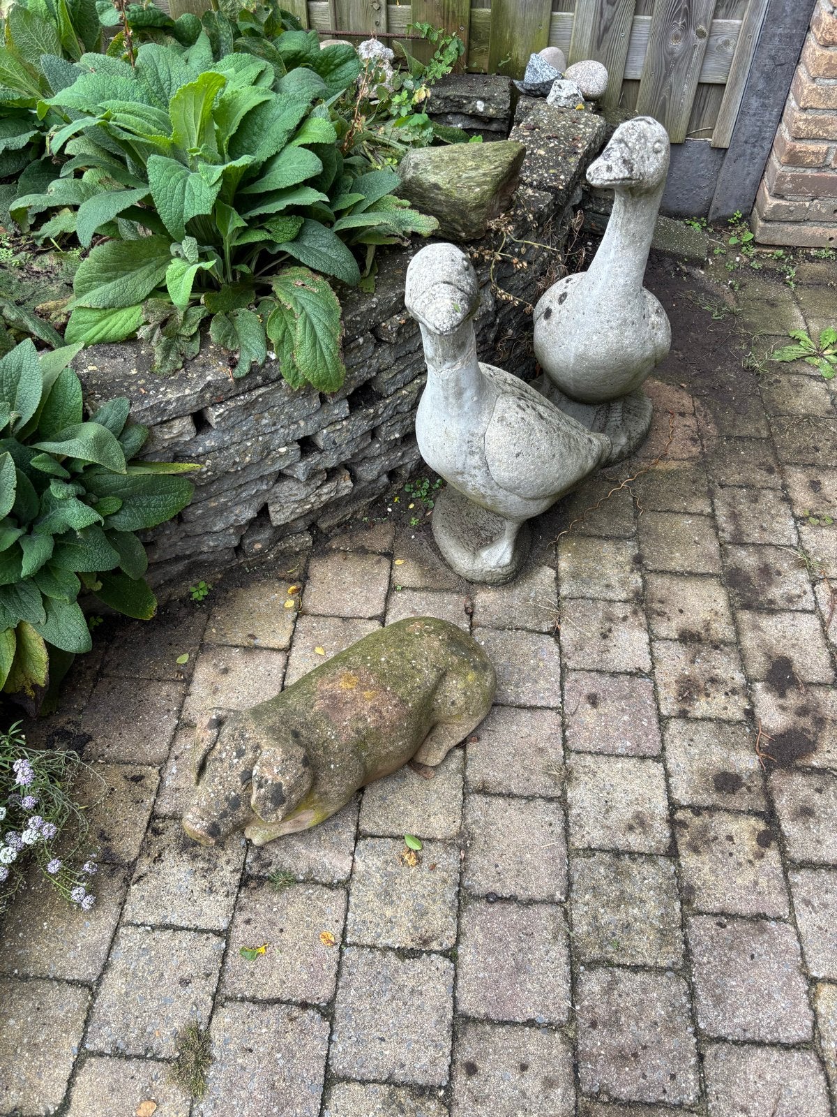 Betonnen tuinbeelden: ganzen en varken, Ophalen, Gebruikt, Beton, Dierenbeeld
