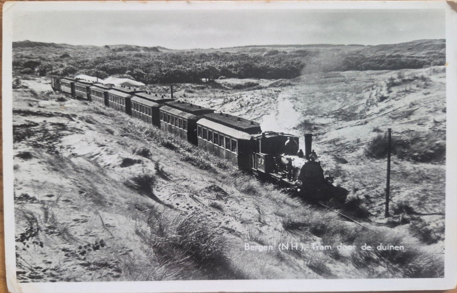 Ansichtkaart Bergen (N.H.) - Tram door de duinen, Ophalen, Voor 1920, Ongelopen, Noord-Holland
