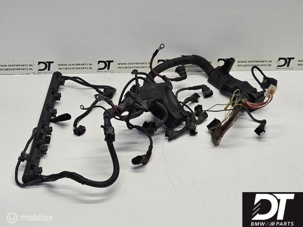 Kabelboom motor BMW E46 M3 S54 S54B32 MSS54 12517831646, Auto-onderdelen, Elektronica en Kabels, BMW, Gebruikt, Ophalen of Verzenden