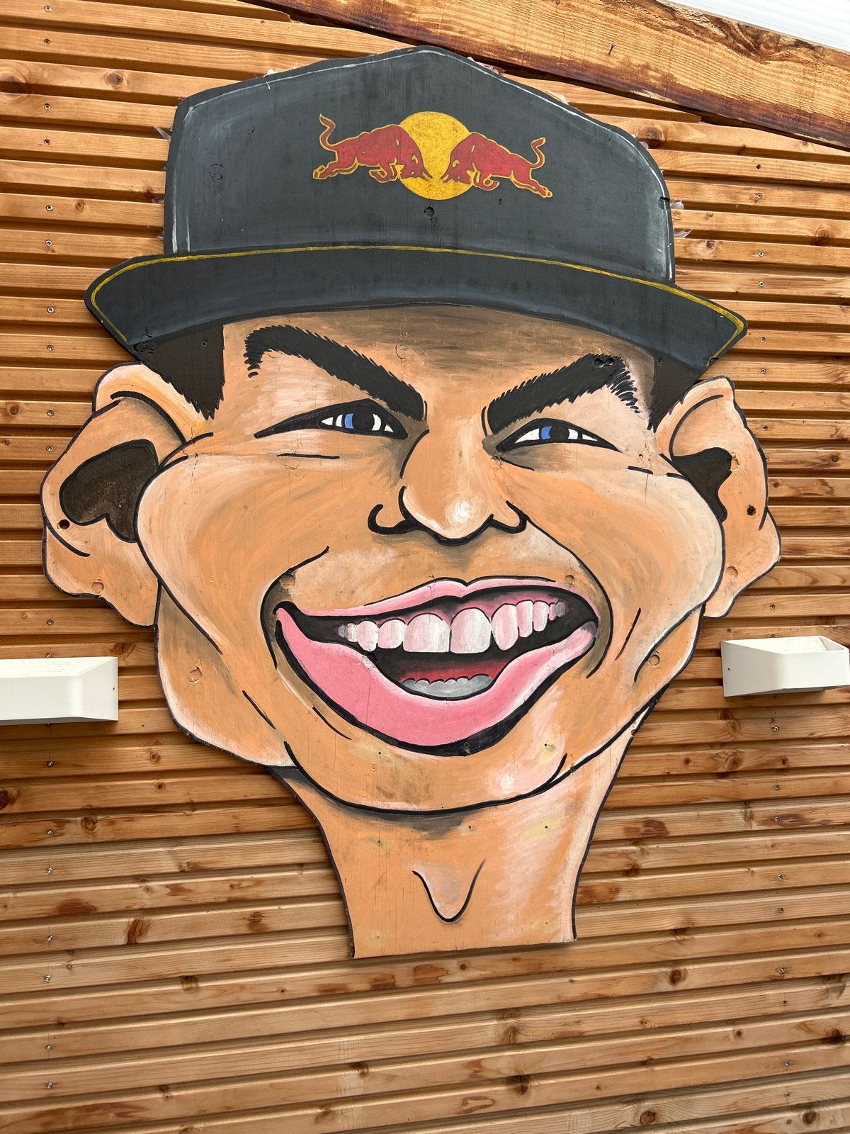 Karikatuur Max Verstappen op hout - 120x100 cm, Ophalen, Wanddecoratie, 1 meter - 2 meter, Hout