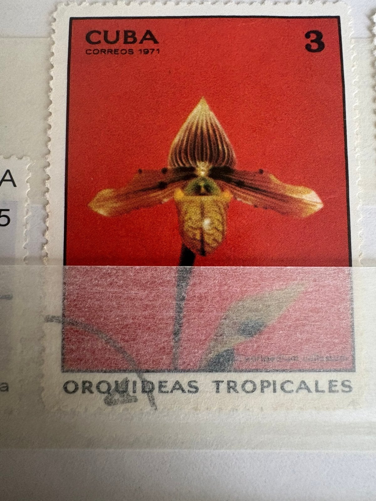 Cuba postzegel 1971 - Tropische Orchidee, Ophalen of Verzenden, Overige landen, Postfris