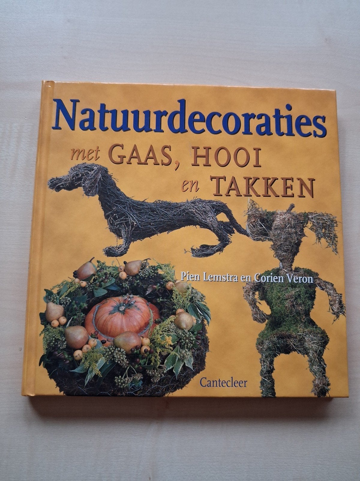 Natuurdecoraties met gaas, hooi en takken - Knutselboek, Ophalen of Verzenden, Gelezen, Overige onderwerpen, Pien Lemstra en Corien Veron