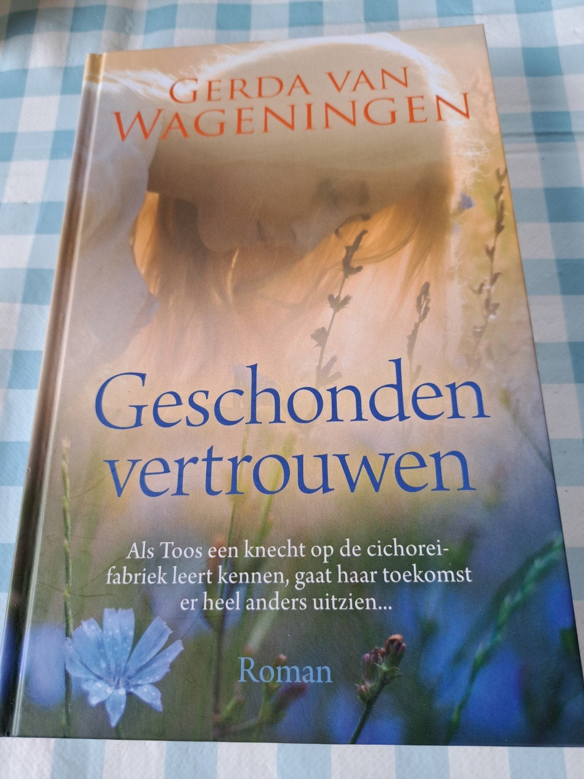 B: Geschonden vertrouwen, Ophalen of Verzenden, Zo goed als nieuw, Gerda van Wageningen, Nederland