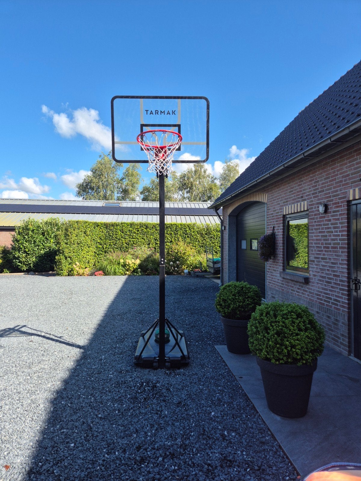 Basketbal paal verrijdbaar, Ophalen of Verzenden, Gebruikt, Ring, Bord of Paal